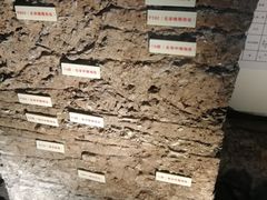 -南越王博物院(王宫展区)