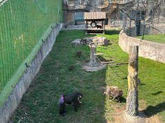 -大连森林动物园