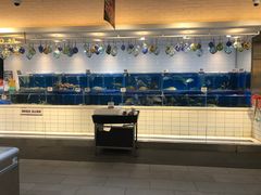 -T11生鲜超市(朝阳公园店)