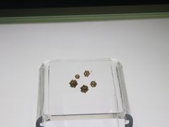 -合浦汉代文化博物馆