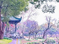 -无锡梅园公园