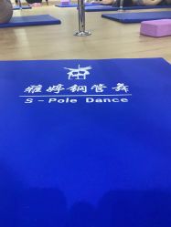 -柯宏＆雅婷塑形钢管舞蹈