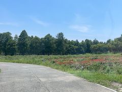 -宁波杭州湾国家湿地公园