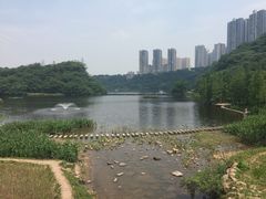 -重庆彩云湖湿地公园