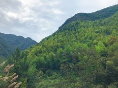 -四明山国家森林公园