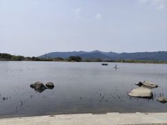 -长田漾湿地公园