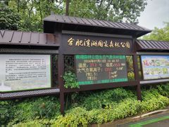 -合肥滨湖国家森林公园