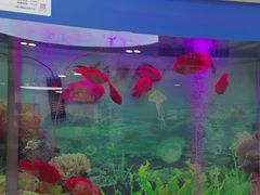 -雅悦齿科(顾村公园店)