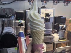 -萨朗刀克冰淇淋雪花凉(植物园店)