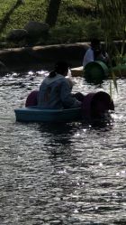 -上美四季动物农场