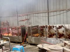 -巴山一绝烤全羊(三圣乡刘家花园店)