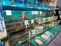 -琼大师东方烤乳猪(亚特兰蒂斯店)