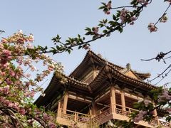 -西安青龙寺遗址景区