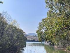 -白马涧龙池景区