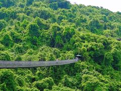 -三亚亚龙湾人间天堂鸟巢度假村