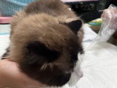 -纳吉亚猫专科动物医院博雅分院