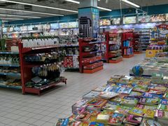 -世纪联华超市(浦电路店)