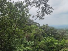 -海口火山口国家地质公园