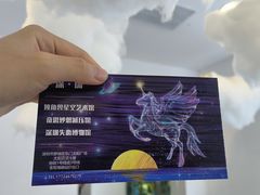 -深圳独角兽星空艺术馆