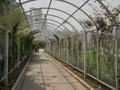 -太阳宫公园