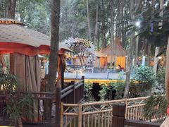 -二荆条·蜀鲜汇城市森林火锅