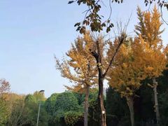 -郑州植物园