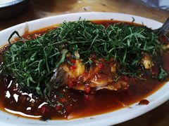 -老字号怡玺·藿香雅鱼(20年雅安店)