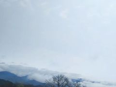 -永州阳明山国家森林公园