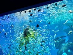 -波塞冬海底世界