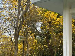 -天河儿童公园