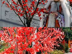 -横店影视城明清宫苑园区