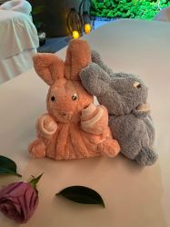 -VELEE·SPA高定疗愈会所