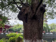 -绳金塔