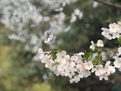 -美兰湖景区