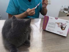 -荔康动物医院(康王北路店)