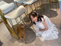 -飞行喵MR PILOT|猫舍·猫咖(静安大融城店)