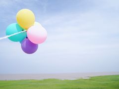 -南汇嘴观海公园