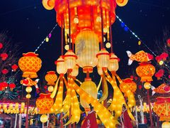 -淄博花灯齐彩城