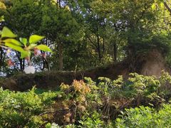 -汤山公园