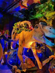 -恐龙探索乐园(磁器口店)