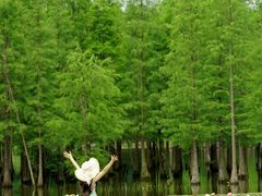 -白鹭湾湿地公园