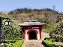 -洛阳古墓博物馆