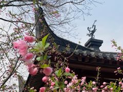 -堤角公园
