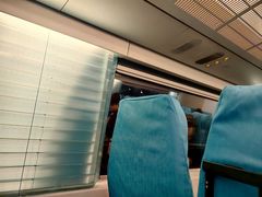 -龙阳路磁悬浮列车总站-停车场