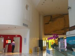 -深圳东部华侨城瀑布酒店