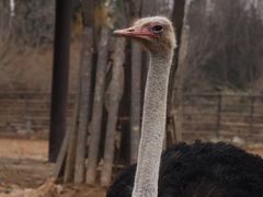 -济南野生动物世界