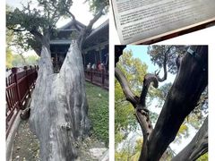 -晋祠公园