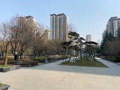 -木塔寺遗址生态公园
