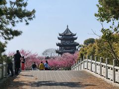 -上海海湾国家森林公园