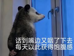 -宫七SPA·高端Massage(浦东大道店)